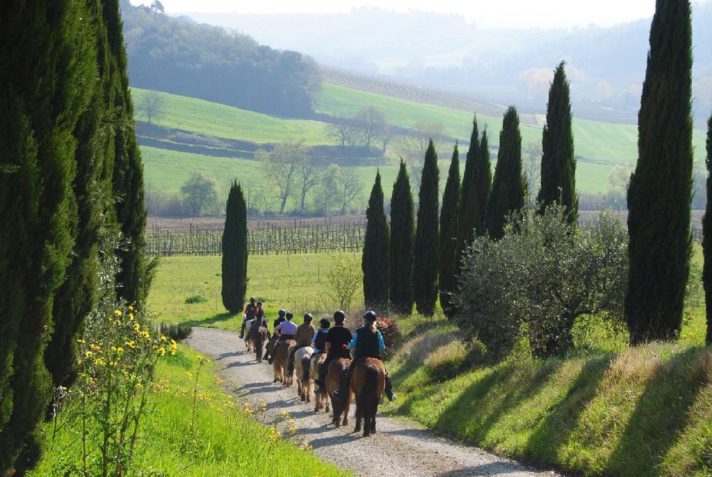 Agriturismo Fattoria Voltrona San Gimignano Exterior photo