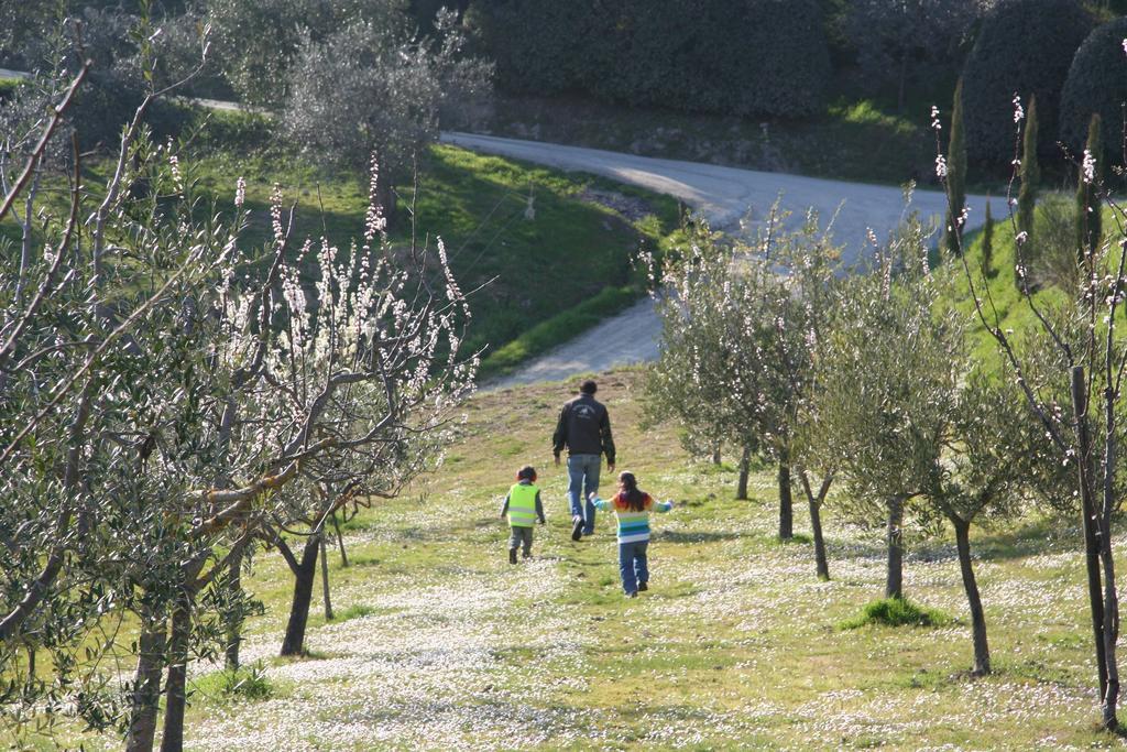Agriturismo Fattoria Voltrona San Gimignano Exterior photo
