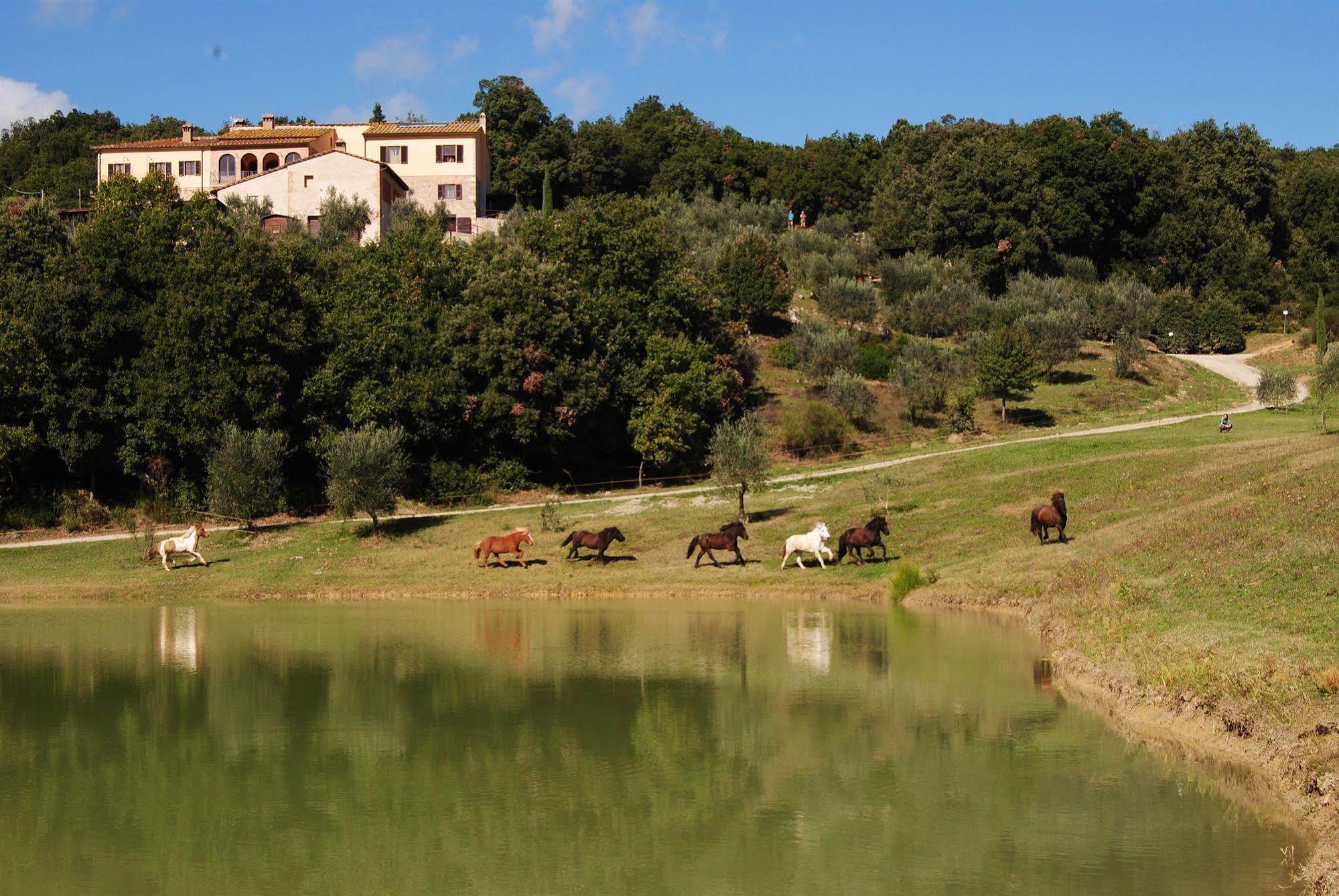 Agriturismo Fattoria Voltrona San Gimignano Exterior photo